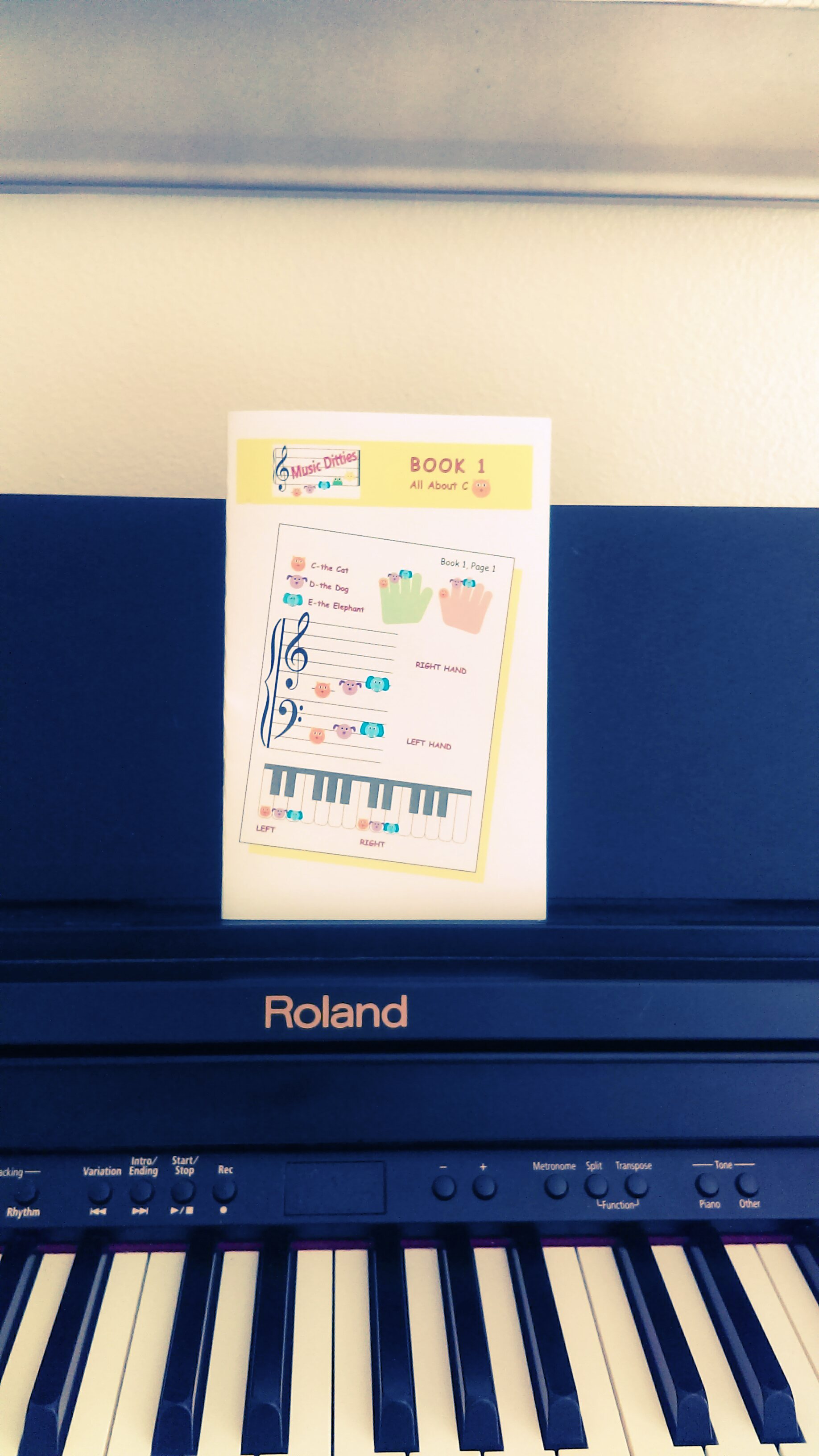 8×5 Book 1 is great for beginning piano students